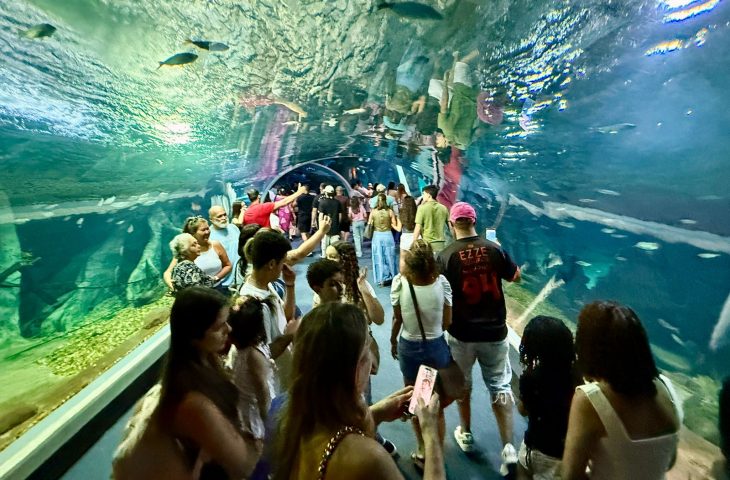Com recorde de visitantes em julho, Bioparque Pantanal consolida Campo Grande como novo destino turístico nacional