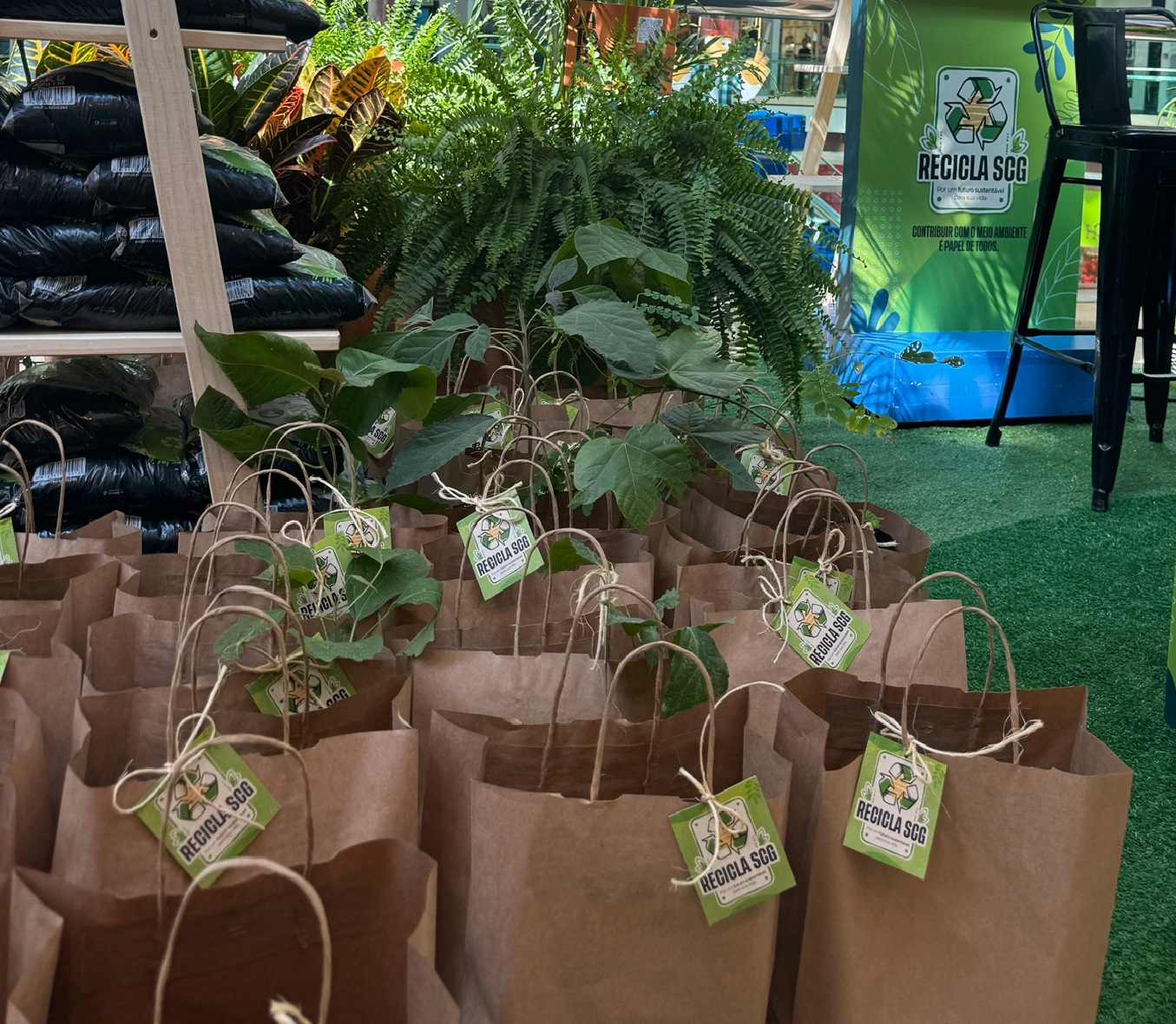 Dia da Árvore é celebrado com distribuição de sementes nativas e adubo em shopping da Capital