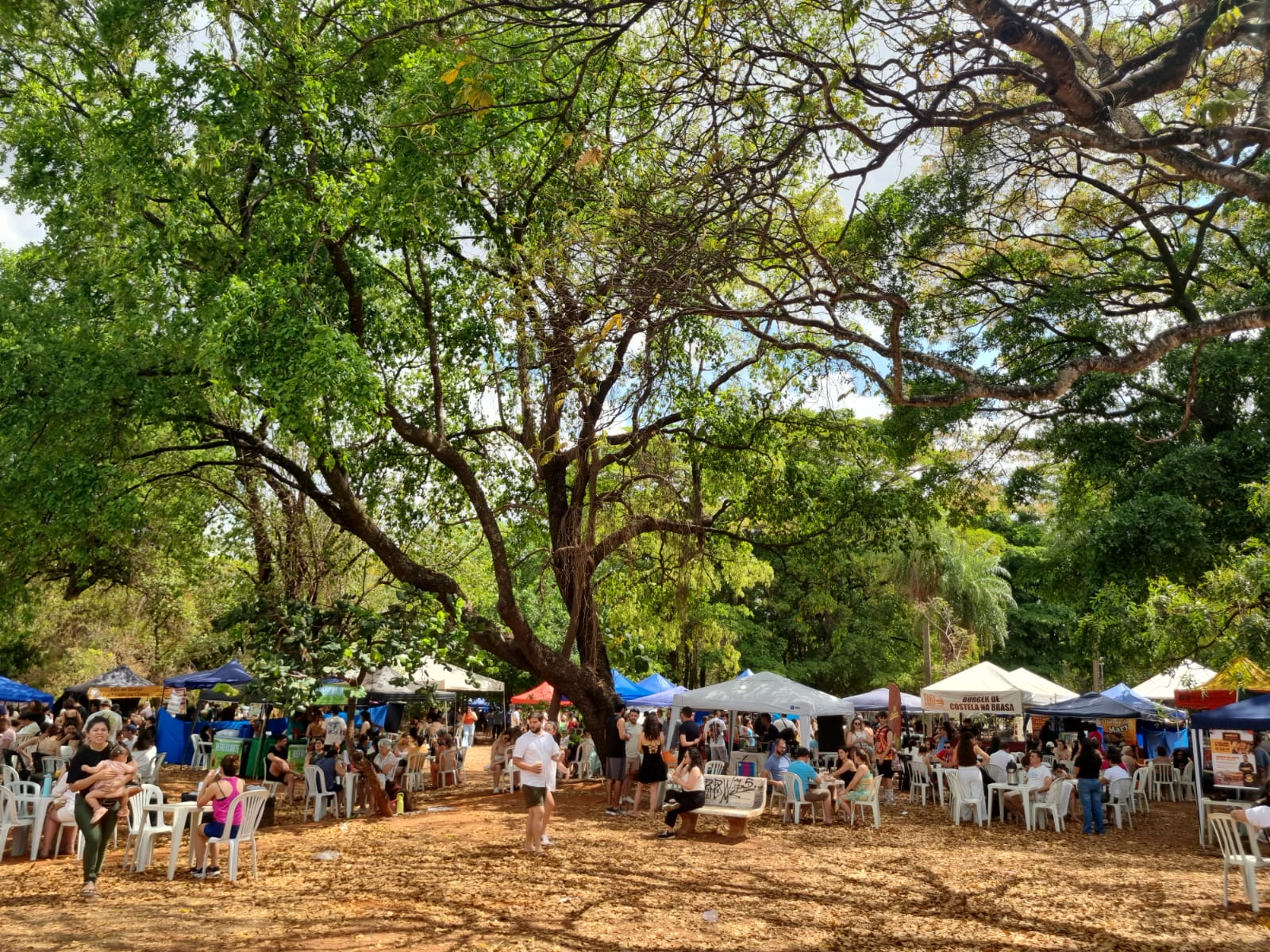 Carandá Bosque: verde, qualidade de vida e novas possibilidades