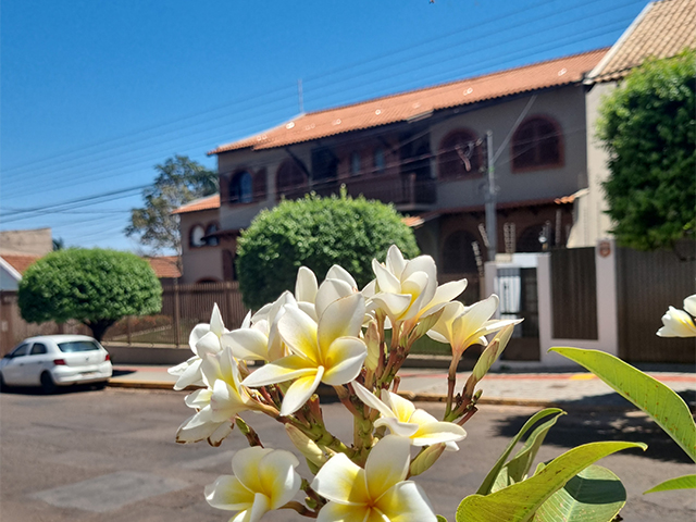 Tour pelo bairro Monte Líbano e Jardim São Bento: tradição libanesa e uma história que o tempo ajuda a contar
